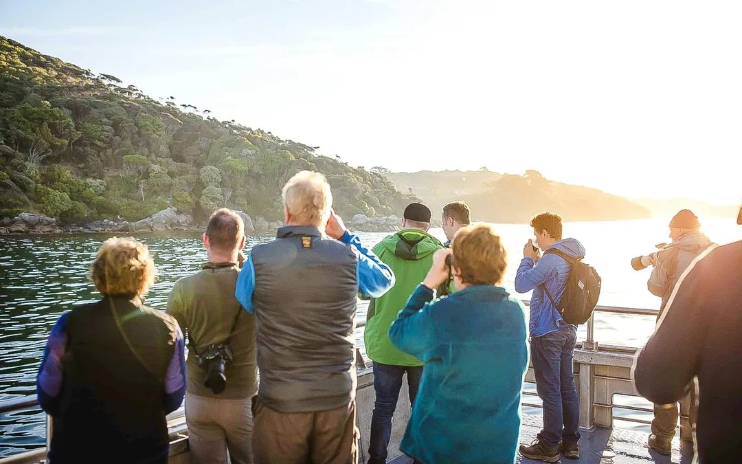 Stewart Island Wild Kiwi Encounter Image 7