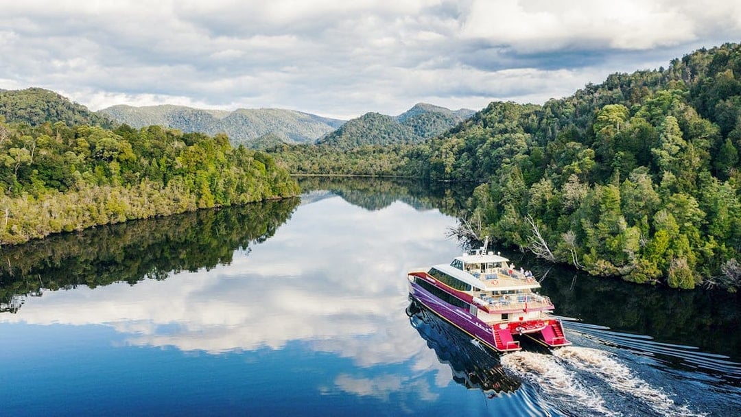 From Strahan: World Heritage Afternoon Cruise on Gordon River with Dinner