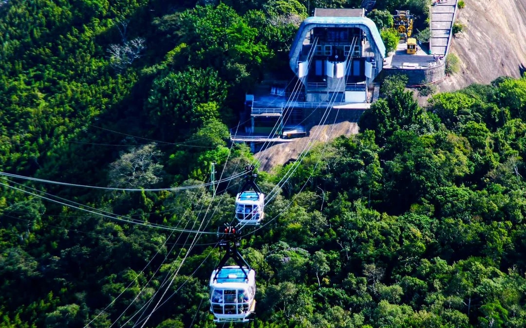 Sugarloaf Mountain & Rio Highlights Guided Tour with Transfers Image 7