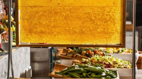 Sun Moon Lake Lealea Wyndham Hot Spring Resort - Xiangmu All-Day Restaurant Dinner Buffet Voucher (Holiday Dinner + NT$100)