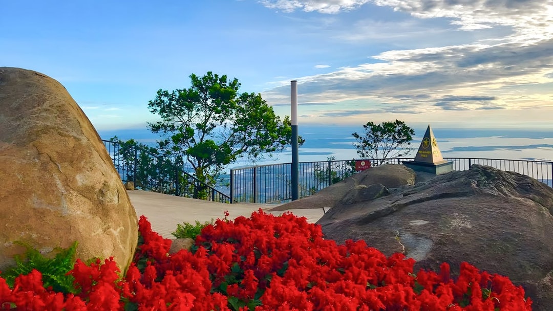 Sun World Ba Den Mountain summit view with red flowers and distant landscape.