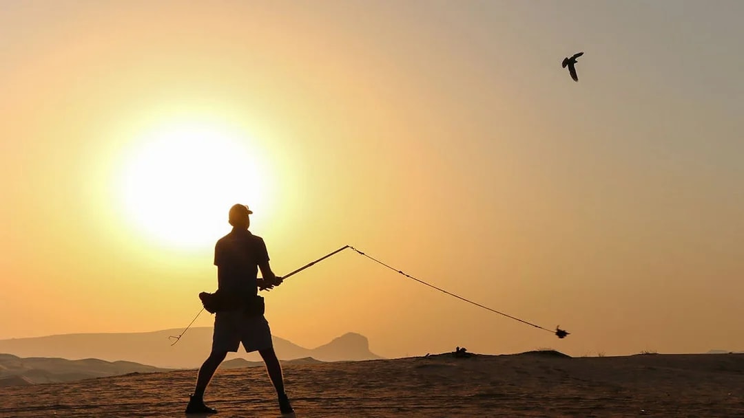 Person flying a falcon at sunrise in the desert during a safari.