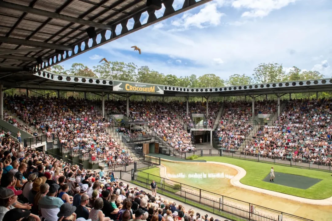 From Sunshine Coast: Australia Zoo Tickets with Transfers