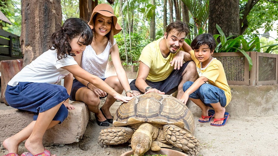 Family interacting with a tortoise at Sunway Lagoon wildlife park.