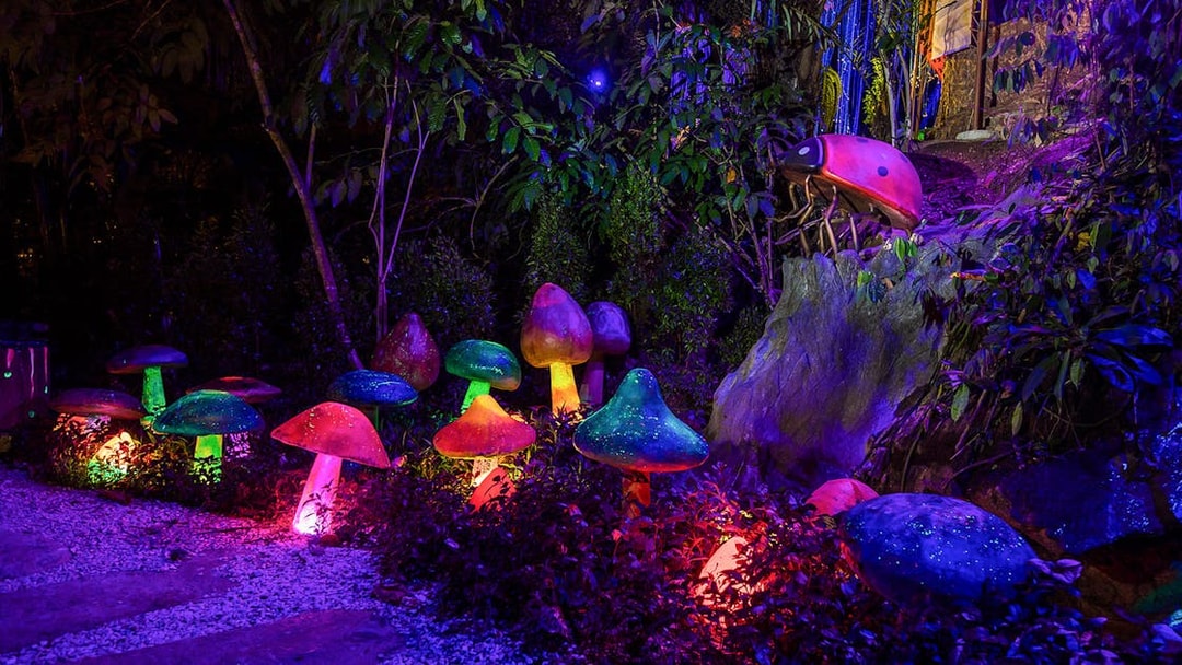 Colorful illuminated mushrooms at Sunway Lost World Hot Springs Night Park.