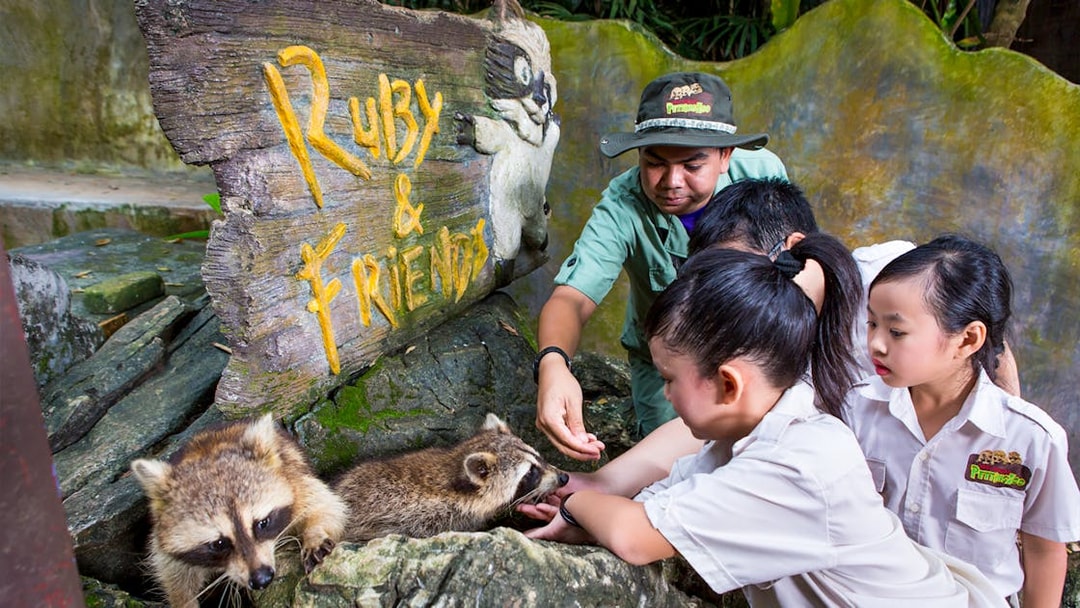 Children interacting with raccoons at Lost World Hot Springs Night Park.