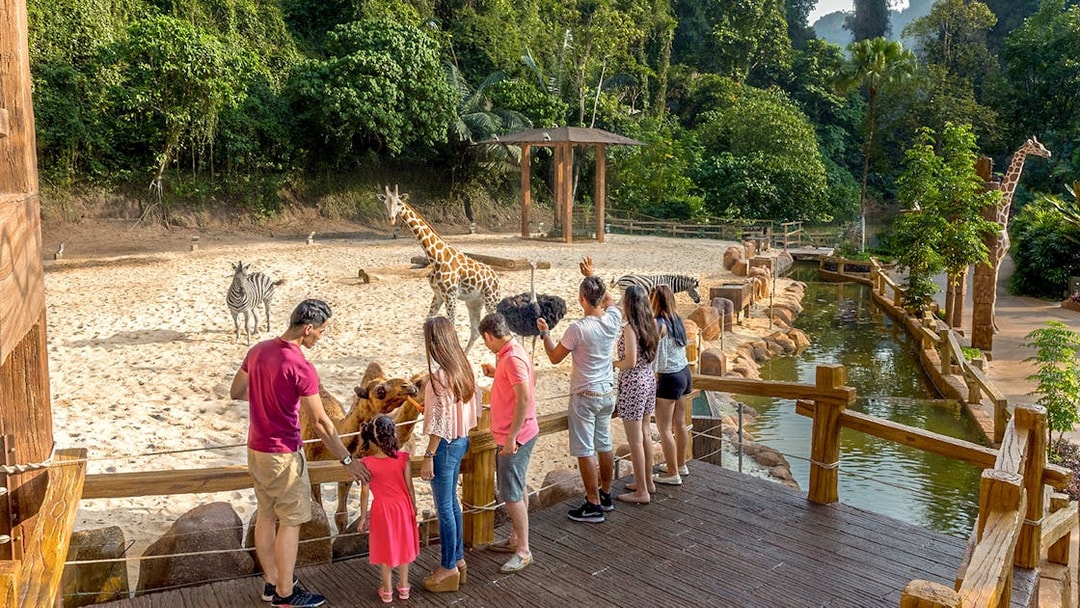 Visitors observing giraffes and zebras at Sunway Lost World of Tambun, Malaysia.