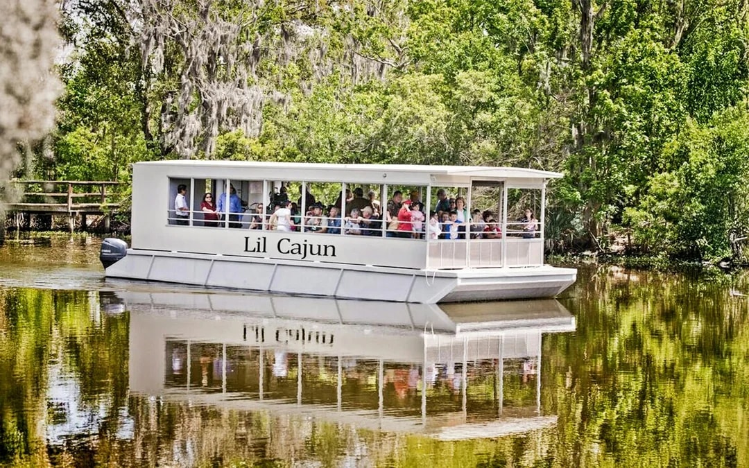 New Orleans: Swamp Boat Ride & Oak Alley Plantation Tour Image 7