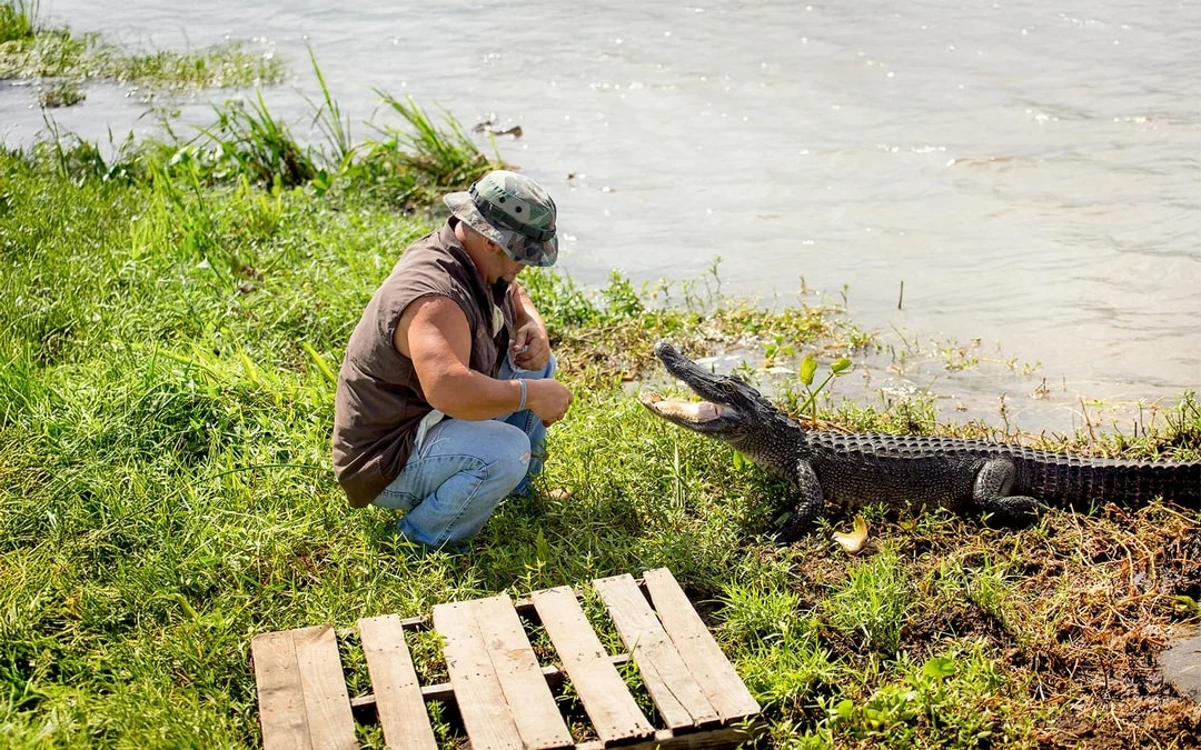 New Orleans: Swamp Boat Ride & Oak Alley Plantation Tour Image 9