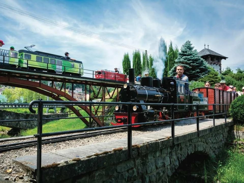 Ticket Swiss Vapeur Parc in Port Valais