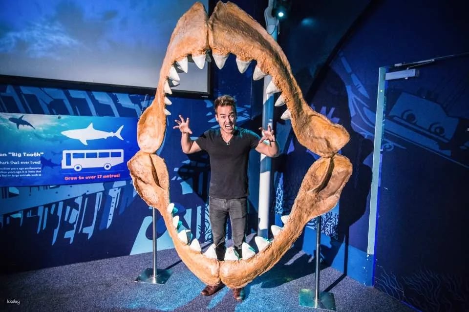 Sydney Attractions Combo Ticket|Australia