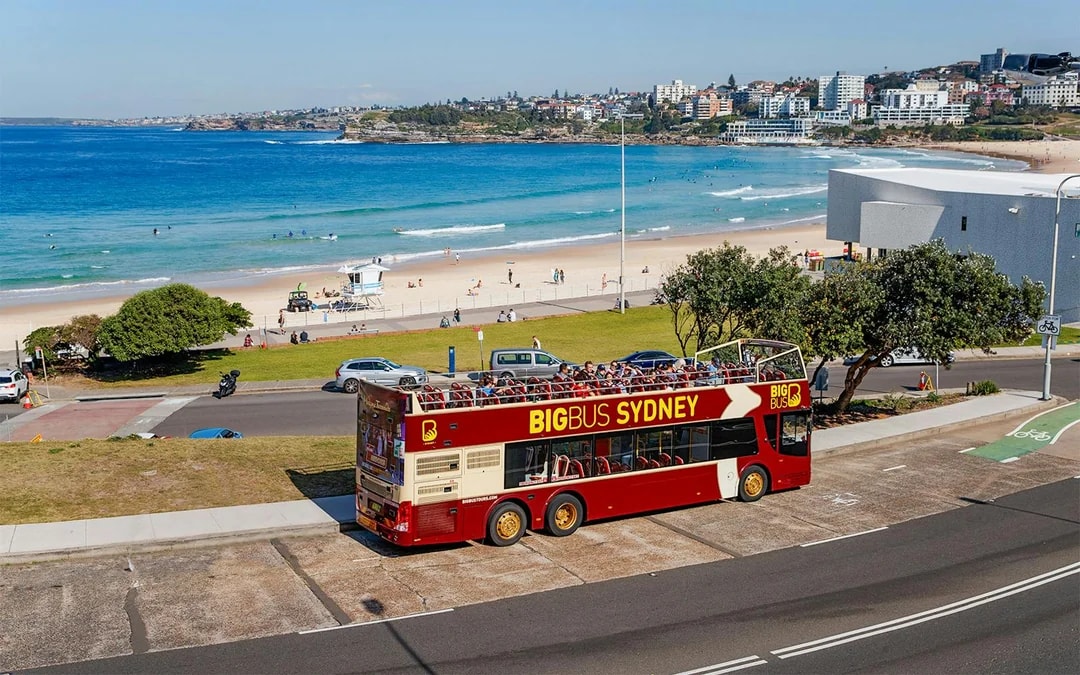 Big Bus: Sydney Hop-on Hop-off Bus Tour with Optional Hop-on Hop-off Harbour Cruise Image 6