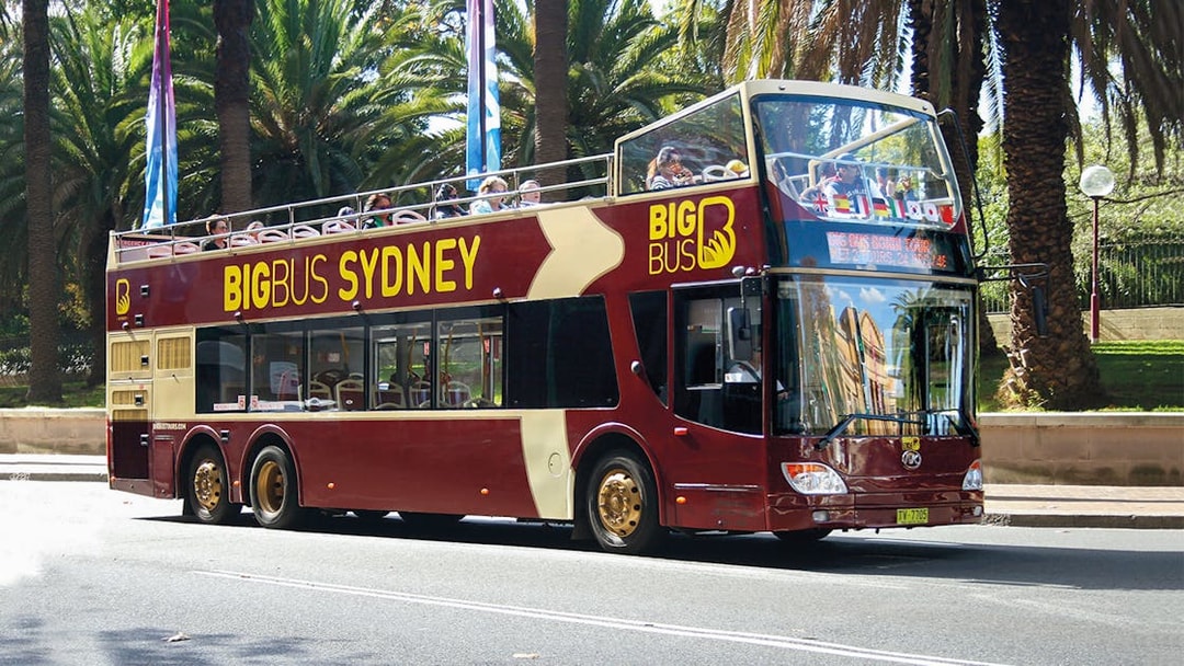 Open-top Big Bus Sydney tour bus driving past palm trees.
