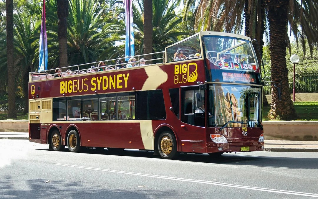 Big Bus: Sydney Hop-on Hop-off Bus Tour with Optional Hop-on Hop-off Harbour Cruise Image 8