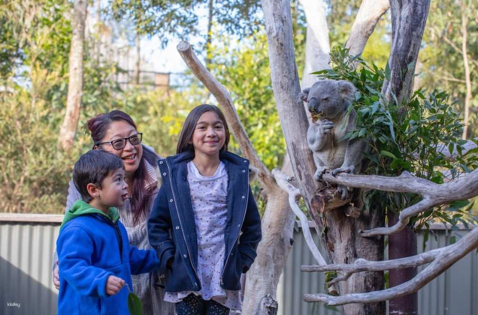 Sydney Zoo Entry Ticket - New Sales Wales