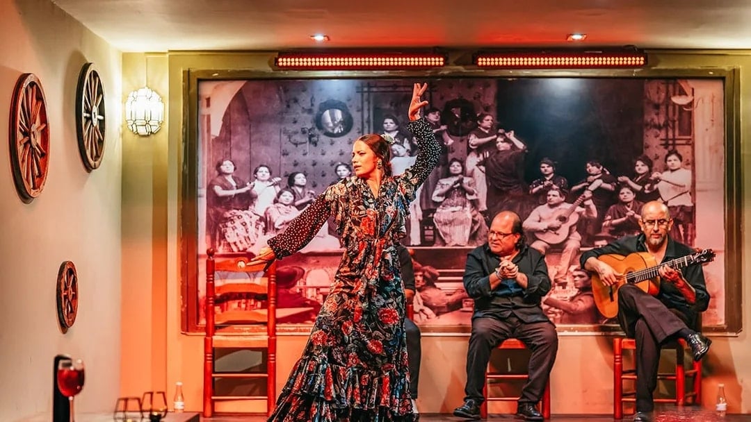 Flamenco dancer performing with musicians in a vibrant show, drink on table, Spain.