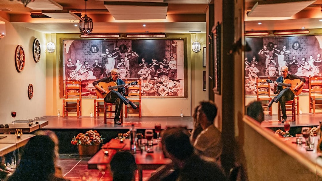 Guitarist performing at La Cantaora Flamenco show in Seville, Spain.