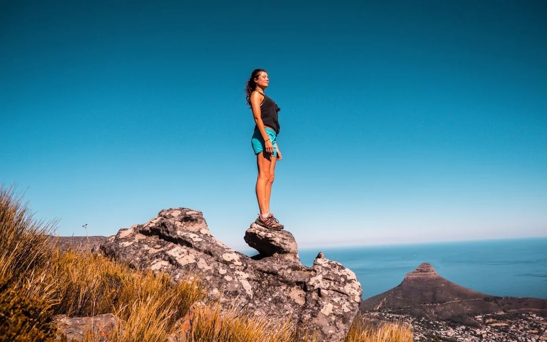 Table Mountain, Bo-Kaap, Cape Point & Penguin Viewing Sightseeing Tour with Hotel Transfers Image 4