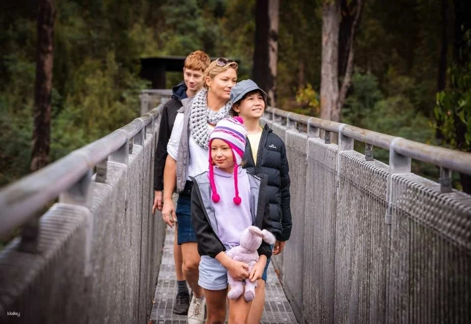 Tahune AirWalk General Entry - Tasmania