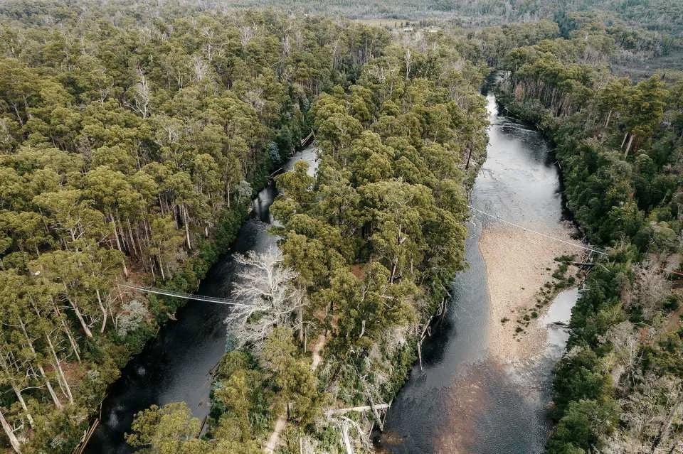 Tahune AirWalk General Entry | Tasmania