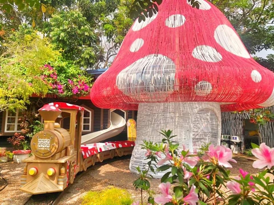 Taichung Dakeng Paper King Creative Park Tickets
