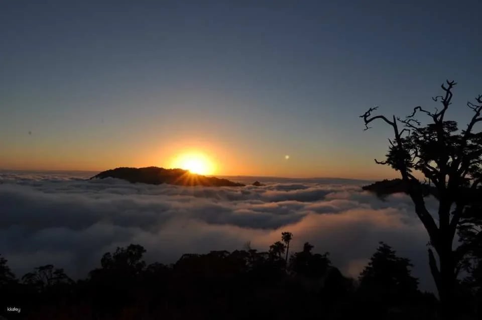 Taichung Daxueshan National Forest Recreation Area Ticket