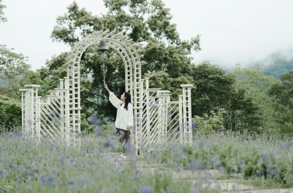 Taichung Lavender Forest Ticket