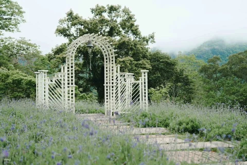 Taichung Lavender Forest Ticket