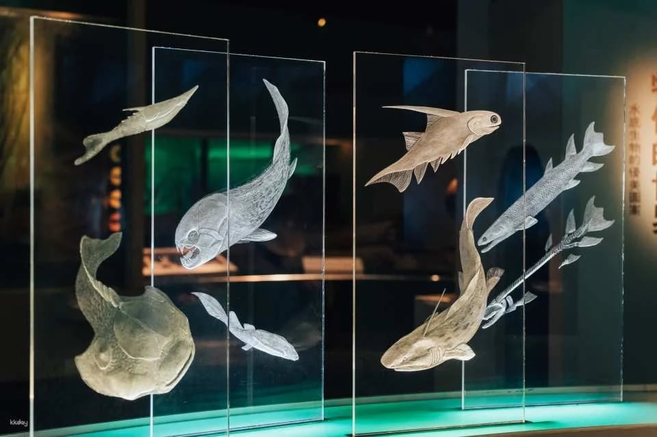 Taichung National Museum of Natural Science | National Museum of Natural Science Tickets