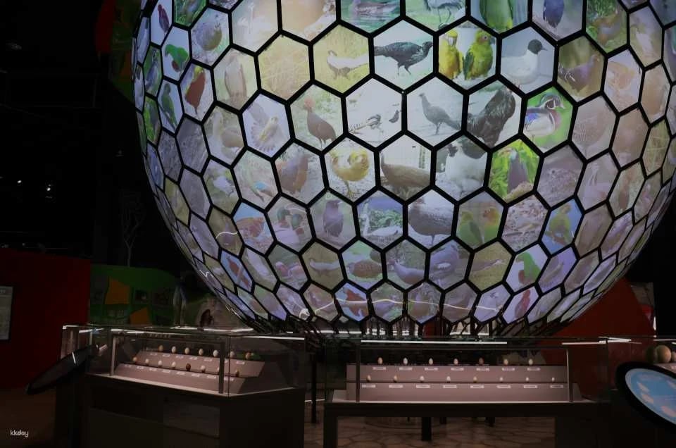 Taichung National Museum of Natural Science | National Museum of Natural Science Tickets
