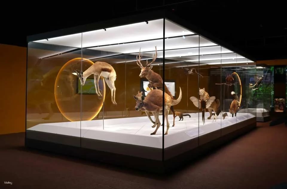 Taichung National Museum of Natural Science | National Museum of Natural Science Tickets