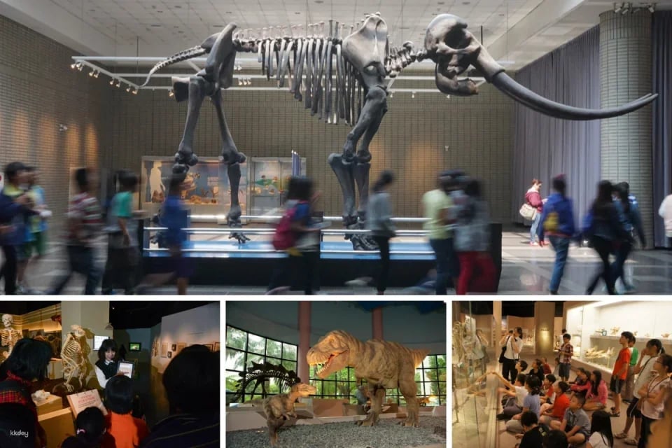 Taichung Tour Package | 3 popular attractions tickets + 8 themed story halls DIY experience or 100 yuan consumption voucher (choose 2+2)