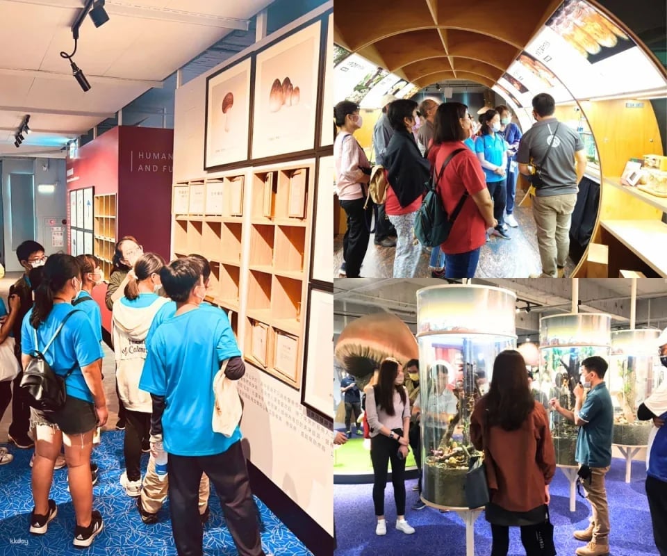 Taichung Wufeng Mushroom Museum Tickets