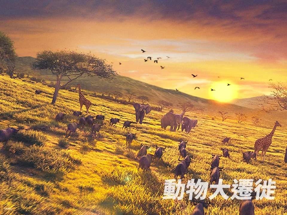 Taipei｜i-Ride TAIPEI Flying Theater Experience Ticket