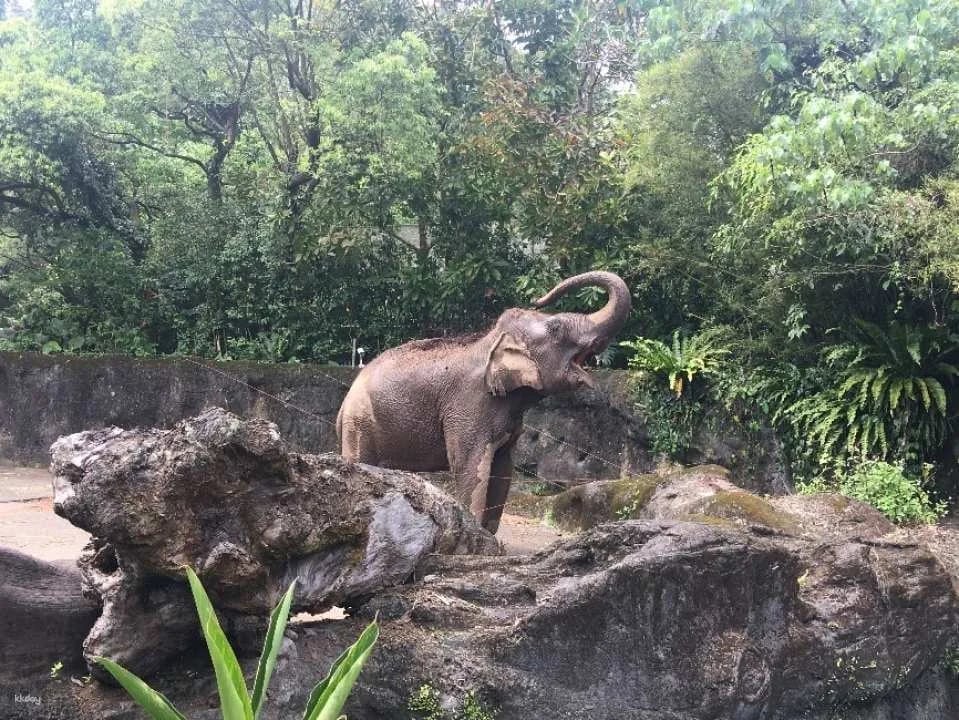 Taipei Zoo Ticket | Taiwan