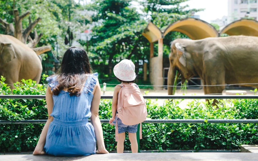 Taipei Zoo Tickets Image 8
