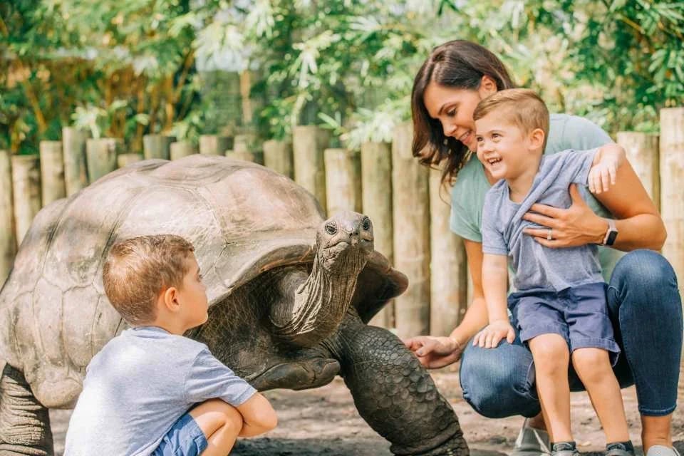 Tampa Bay CityPASS®  | United States