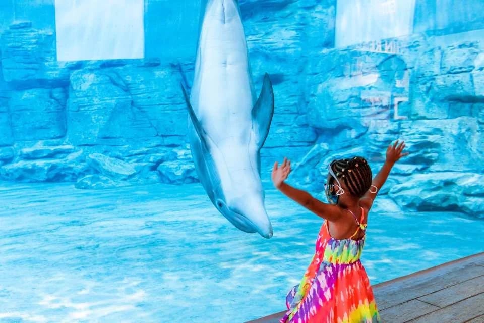 Tampa Bay CityPASS®  | United States