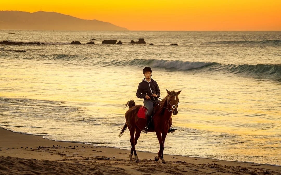 Tangier Guided Horseback Ride on Mountain and Coastal Trails in Mnar Region Image 1