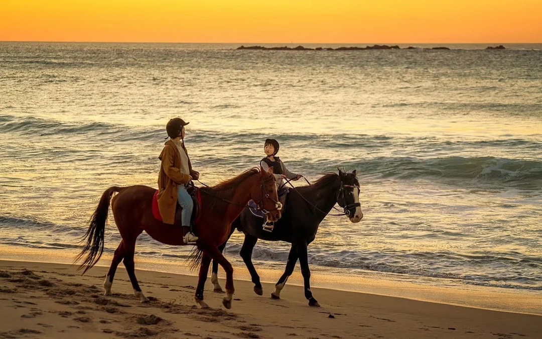 Tangier Guided Horseback Ride on Mountain and Coastal Trails in Mnar Region Image 6