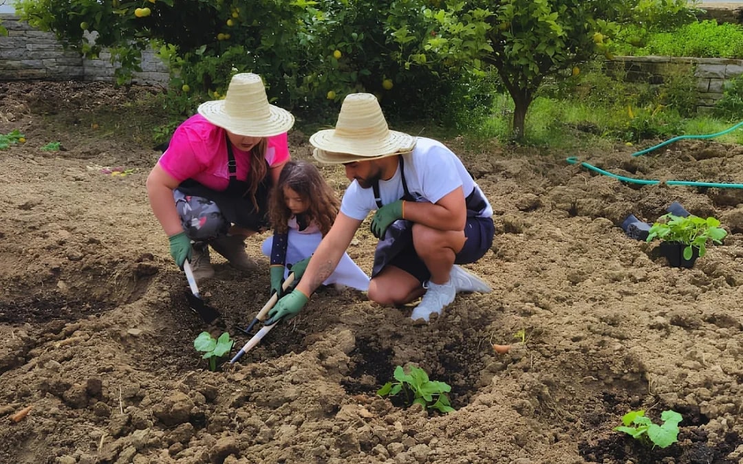 Tangier Moroccan Cooking Class on Organic Farm with Ingredient Harvesting and Lunch Image 4