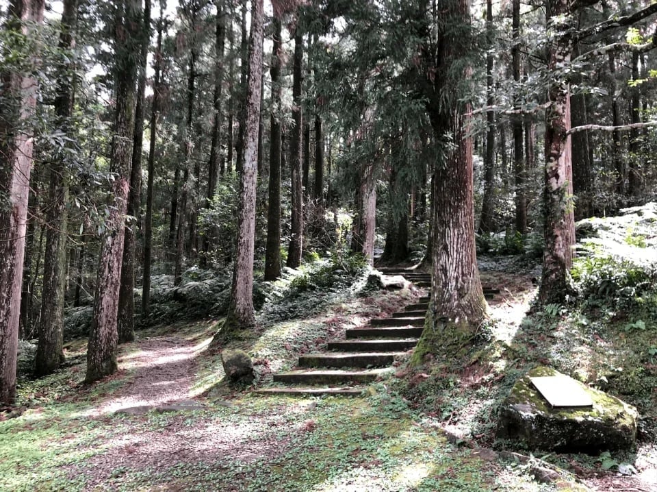 Taoyuan | Dongyanshan National Forest Recreation Area Tickets