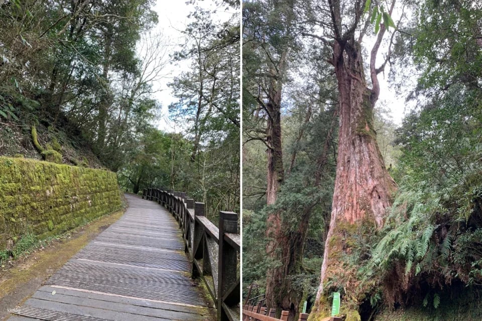 Taoyuan Lala Mountain National Forest Recreation Area Tickets