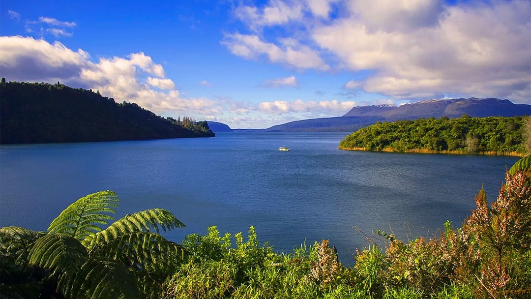 Tarawera Lake view with lush greenery and distant boat, New Zealand eco tour.