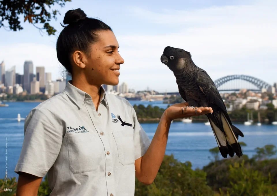 Taronga Zoo Sydney Ticket | Australia