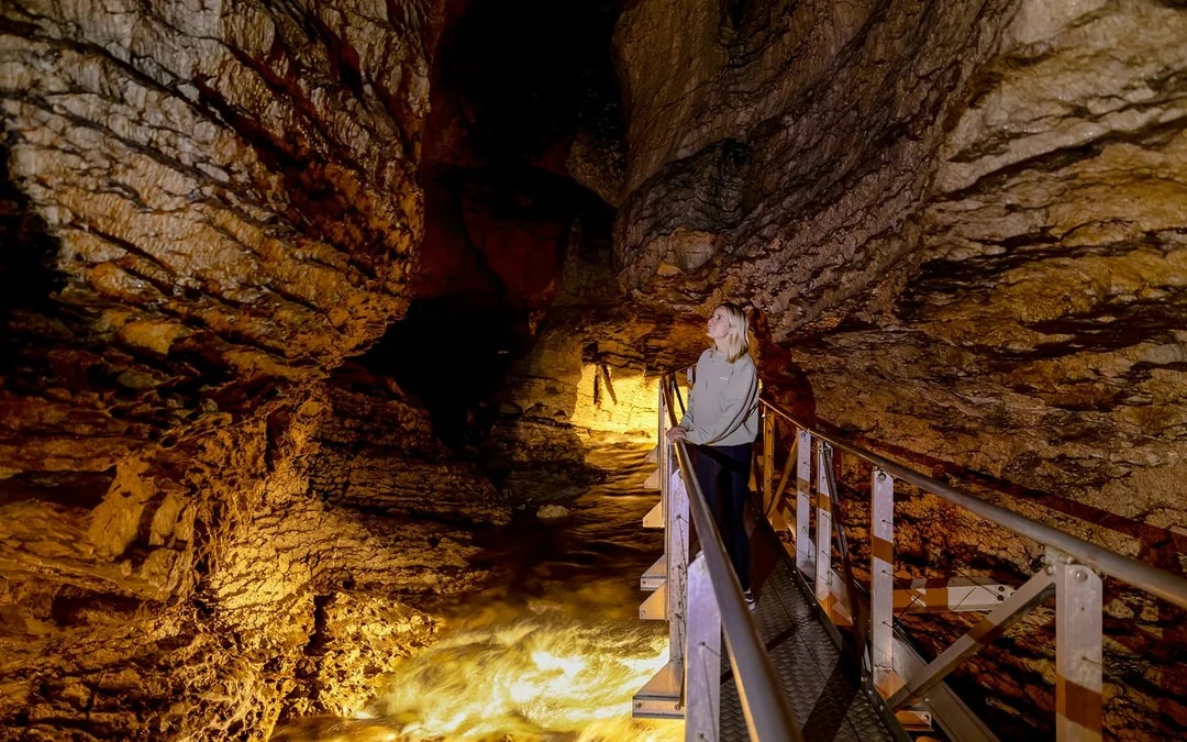 Te Anau Glowworm Caves Guided Tour Image 7