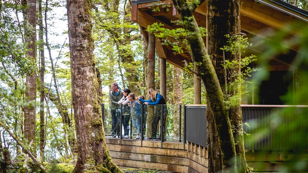 Visitors observing forest scenery from a platform on the Te Anau Glowworm Caves Guided Tour.