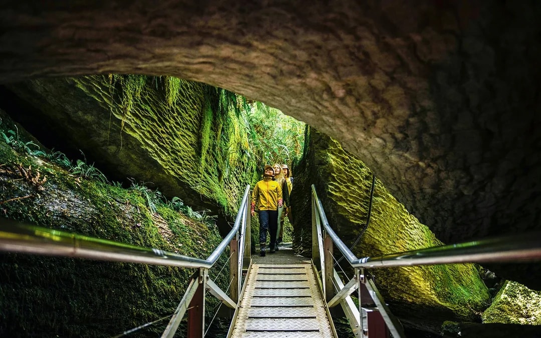 Te Anau Glowworm Caves Guided Tour Image 8