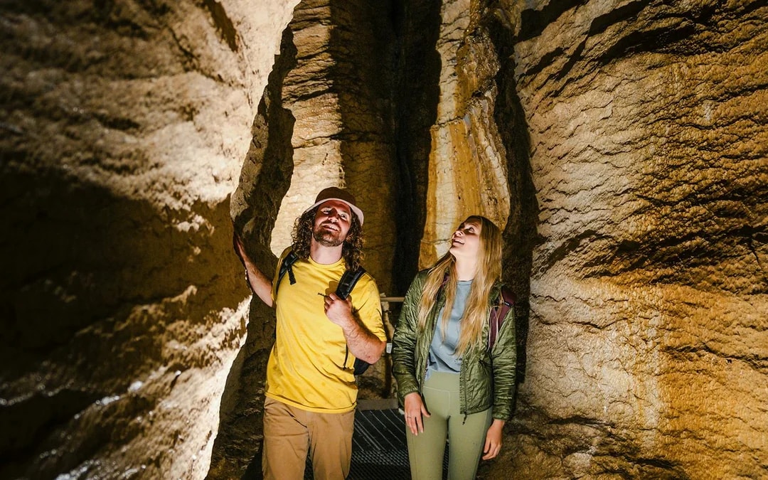 Te Anau Glowworm Caves Guided Tour Image 1