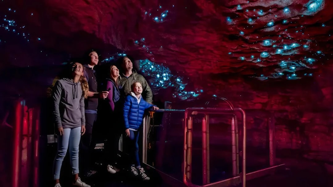 Guide with visitors in Te Anau Glowworm Caves, admiring illuminated cave ceiling.